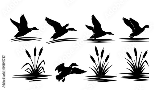 Flying Duck Silhouette Set with Cattails Wetland Bird Vector Illustration
