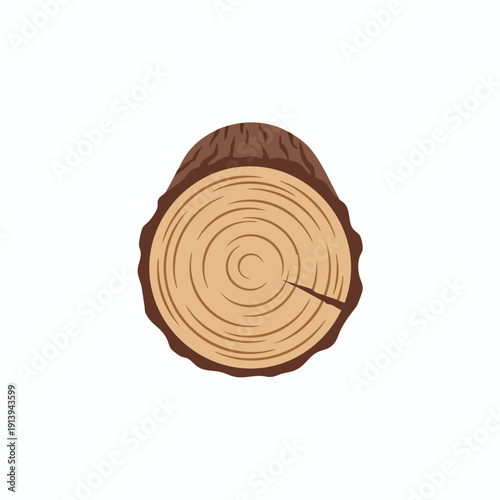 Close up of a Cross Sectioned Tree Trunk for Nature and Ecology Themes