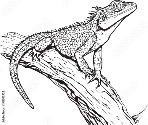 Detailed lizard perched on tree branch illustration with scales claws tail naturalistic reptile wildlife vector design