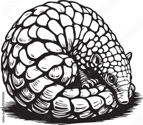 Black-and-white pangolin illustration with curled body and overlapping scales in circular silhouette