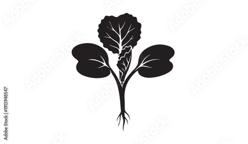Sprout with roots, leaves and stem silhouette, isolated on white background