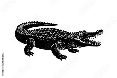 A detailed black and white illustration of a rooster standing on one leg isolated on transparent background, isolated on white background, Vector