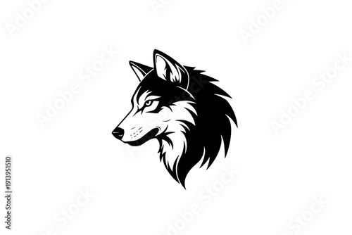 A detailed black and white illustration of a wolf's head with flowing fur isolated on transparent background, isolated on white background, Vector