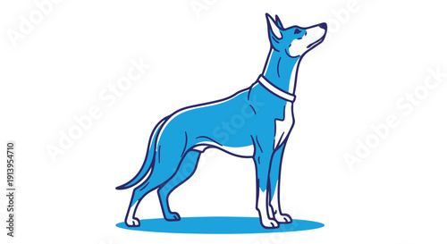 A blue and white dog stands looking up with a collar on, illustrated in a cartoon style on a Transparent Background.