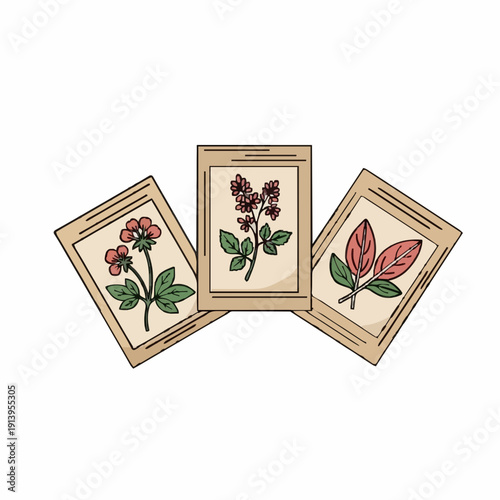 Collection of Vintage Botanical Seed Packets With Floral Illustrations In Pastel Colors Isolated On White Background
