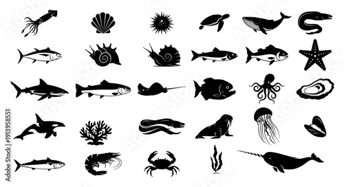 Marine life silhouettes collection, sea animals and ocean creatures set, underwater fauna vector icons, fish whale shark octopus and shell illustrations