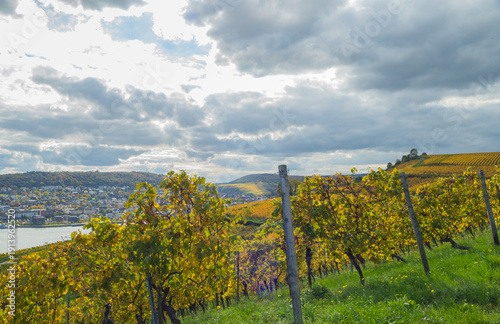 Wallpaper Mural Reben unter bewölktem Himmel Torontodigital.ca