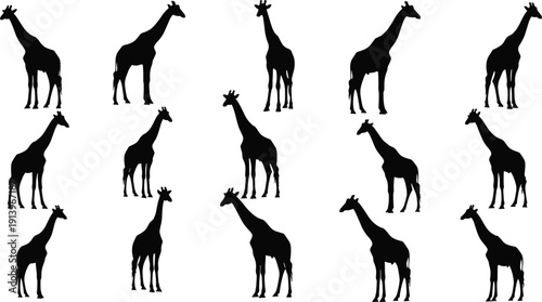 Gave me a title about this photo 'must have 22-25 words' for adobe stock with SEO maintain.