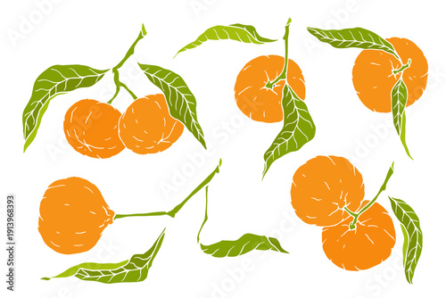 A set of ripe citrus mandarins with leaves. Decorative vector elements.