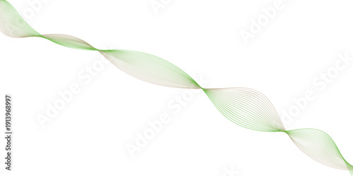 snowdrops isolated on white background  web line