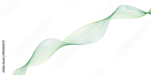 green leaf on white background green leaf on white background