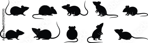 Mouse rat silhouette collection small rodent animal poses wildlife clipart black isolated icon flat vector illustration, flat vector illustration