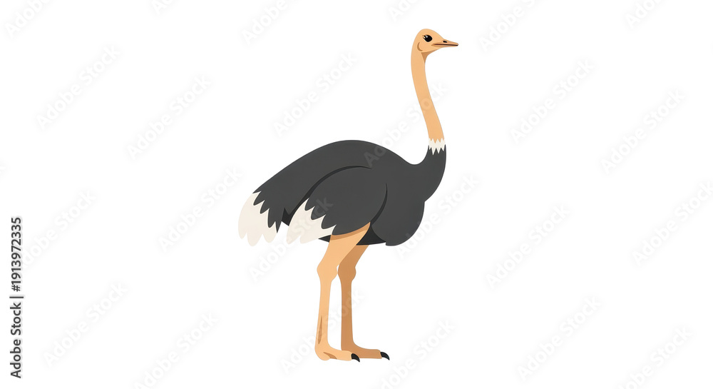 Fototapeta premium A cartoon illustration of a tall ostrich with dark grey feathers, a long tan neck, and light brown legs standing upright. isolated PNG with Transparent Background