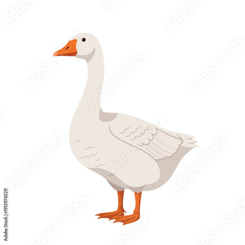 Adorable White Goose Standing on a Clean White Background