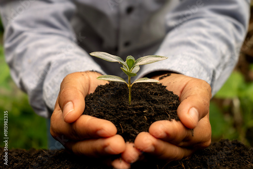 Close-up of human hands cupping and protecting a young green plant in soil, symbolizing sustainable growth, environmental care, and corporate social responsibility (CSR) concepts.