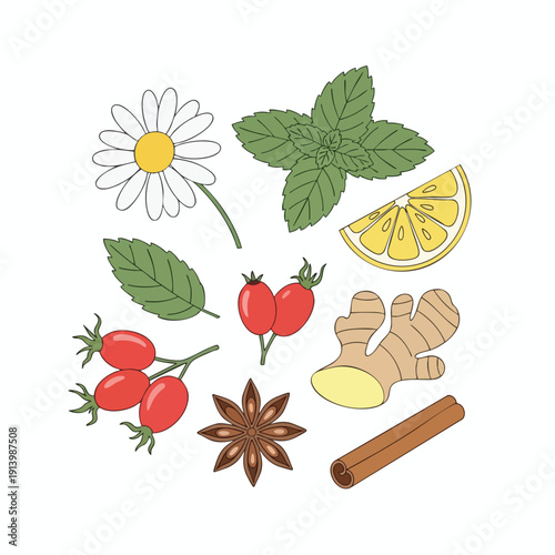 Herbs and Spices for Cooking and Health