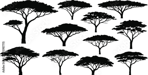 African Acacia Tree Silhouette Set with Flat Canopy Shapes Isolated on White Background for Savanna Landscape Vector Design