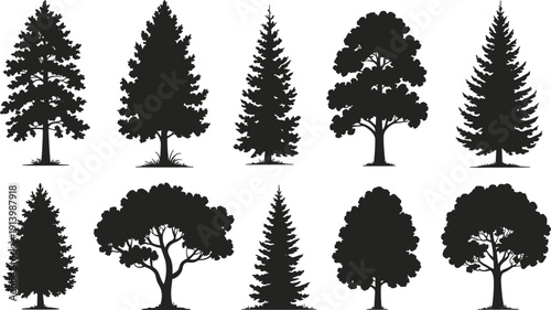 Realistic Tree Silhouette Collection with Pine and Deciduous Forest Trees Black Vector Set Isolated on White Background