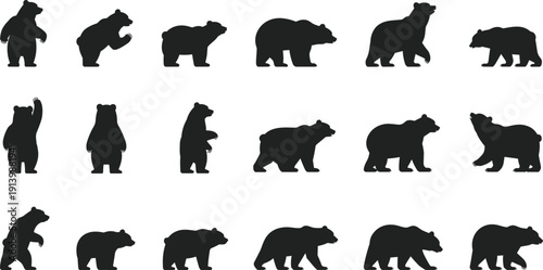 Bear Silhouette Collection Vector Set Featuring Standing Walking Roaring and Sitting Wildlife Poses Isolated on White Background