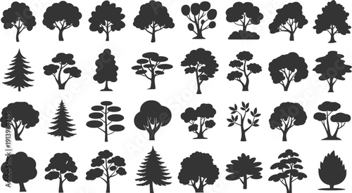 Tree Silhouette Vector Set with Various Forest and Garden Tree Shapes Isolated Black Nature Illustration Collection
