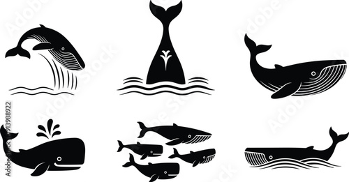 Whale Silhouette Collection with Jumping and Swimming Ocean Mammals Isolated on White Background for Marine Vector Illustration