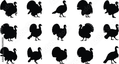 A diverse collection of black turkey bird silhouettes displayed in various natural poses on white