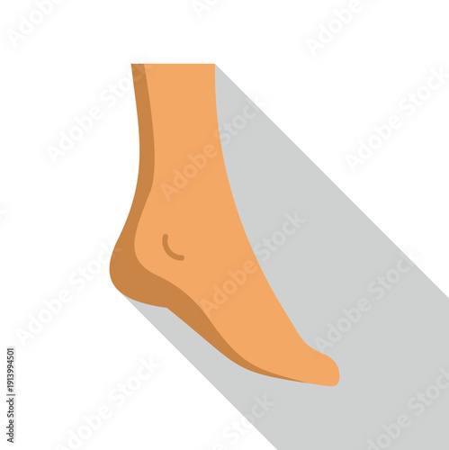 Human foot and ankle with shadow representing body part anatomy
