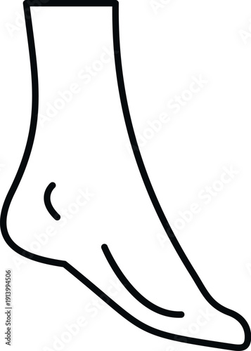 Human foot and ankle outline graphic illustration representing basic anatomy or podiatry concepts