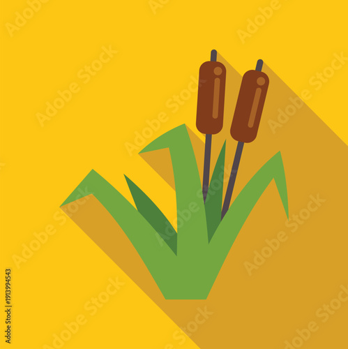 Cattail plants with green leaves and brown heads creating a natural icon with long shadow