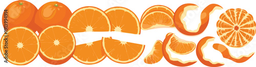 Orange Citrus Collection – Whole Oranges, Slices, Segments, and Peels Vector Illustration