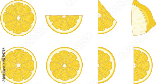 Lemon Slice Vector Set – Fresh Citrus Lemon Rounds, Halves and Wedges Illustration Collection