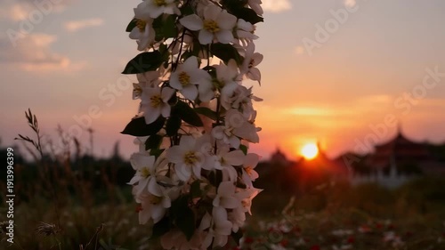 Beautiful blooming apple tree branch with white flowers swinging in the wind against an evening sky