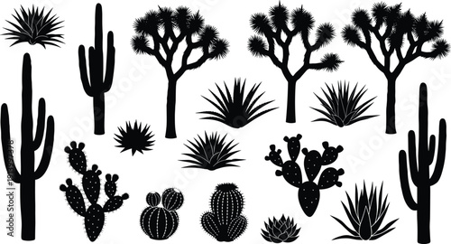 Black silhouette set of desert cactus and succulents, saguaro, prickly pear and agave plants, cad drawing flat vector illustration, isolated.