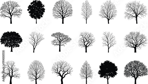 Tree silhouettes collection forest nature botanical illustration black isolated design graphic set deciduous branches foliage landscape