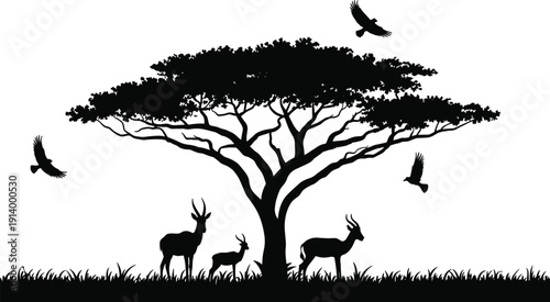 Black silhouette of acacia tree with antelopes and birds flying in savanna landscape