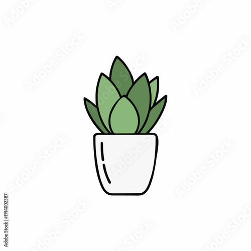 Green Succulent Plant in a White Pot on a Clean White Background with Minimalist Line Art Style
