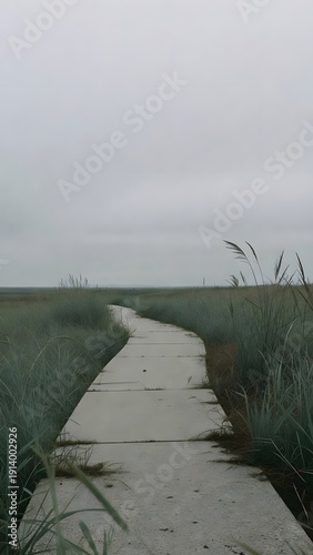 Foggy Concrete Path Winding Through Tall Beach Grass Under Overcast Sky