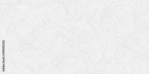 modern white and grey Topographic Contour line Map Background With Abstract Elevation Lines and Minimal Gray Texture and organic shapes.