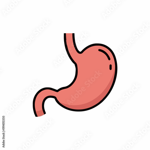 Stylized illustration of a human stomach organ with a clean white background depicting internal anatomy digestive system health care concept