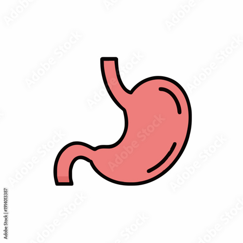 Simplified pink human stomach organ illustration on a white background graphic representation of digestive system internal anatomy medical concept