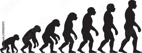 Human business evolution