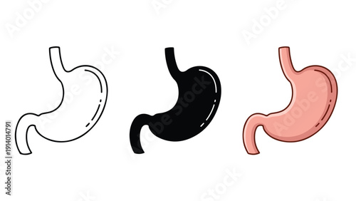 Human stomach anatomy stages flat design vector illustration - Flat Design Icon. line icon set - Icon vector - Blue icon vector. Clipart. Icon collection - Line and glyph solid icon and logo template