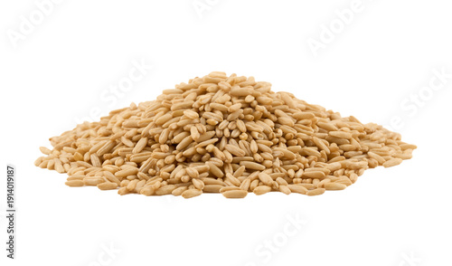 Tableau sur toile closeup macro pile of whole oat groat isolated on white background cutout