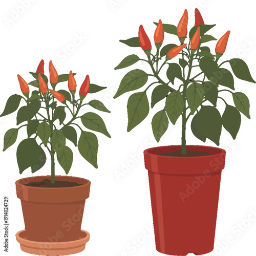 Two potted plants with red peppers growing in a garden setting.