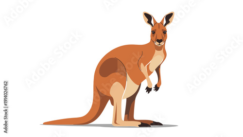 Illustration of a standing kangaroo with detailed fur and posture.