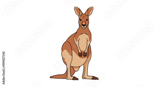 Illustration of a standing kangaroo with a neutral expression on a white background.
