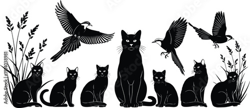 Set of black cat silhouettes and flying birds in tall grass featuring kittens sitting and predators watching wildlife in nature