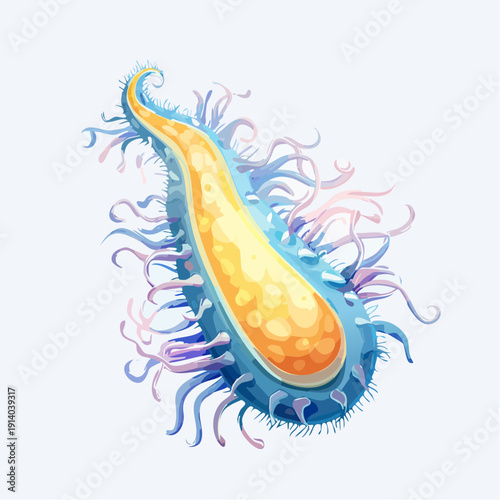 Microscopic organism with blue outer layer and yellow inner core, tentacles and cilia