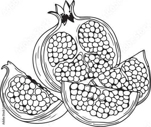 Pomegranate fruit cut open revealing juicy seeds in a simple black and white illustration style perfect for healthy eating and food related designs