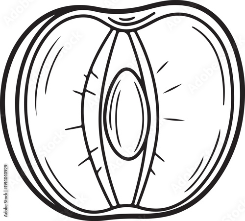 Simple black and white illustration of an avocado cut in half showing the pit inside very detailed lines and shading for a realistic appearance